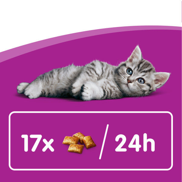 Thumbnail: Whiskas Kitten Milky Treats 55g
