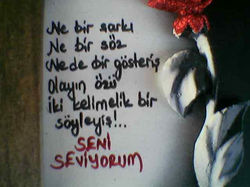 Seni-Seviyorum-Sözleri.jpg