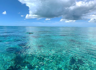 Snorkling