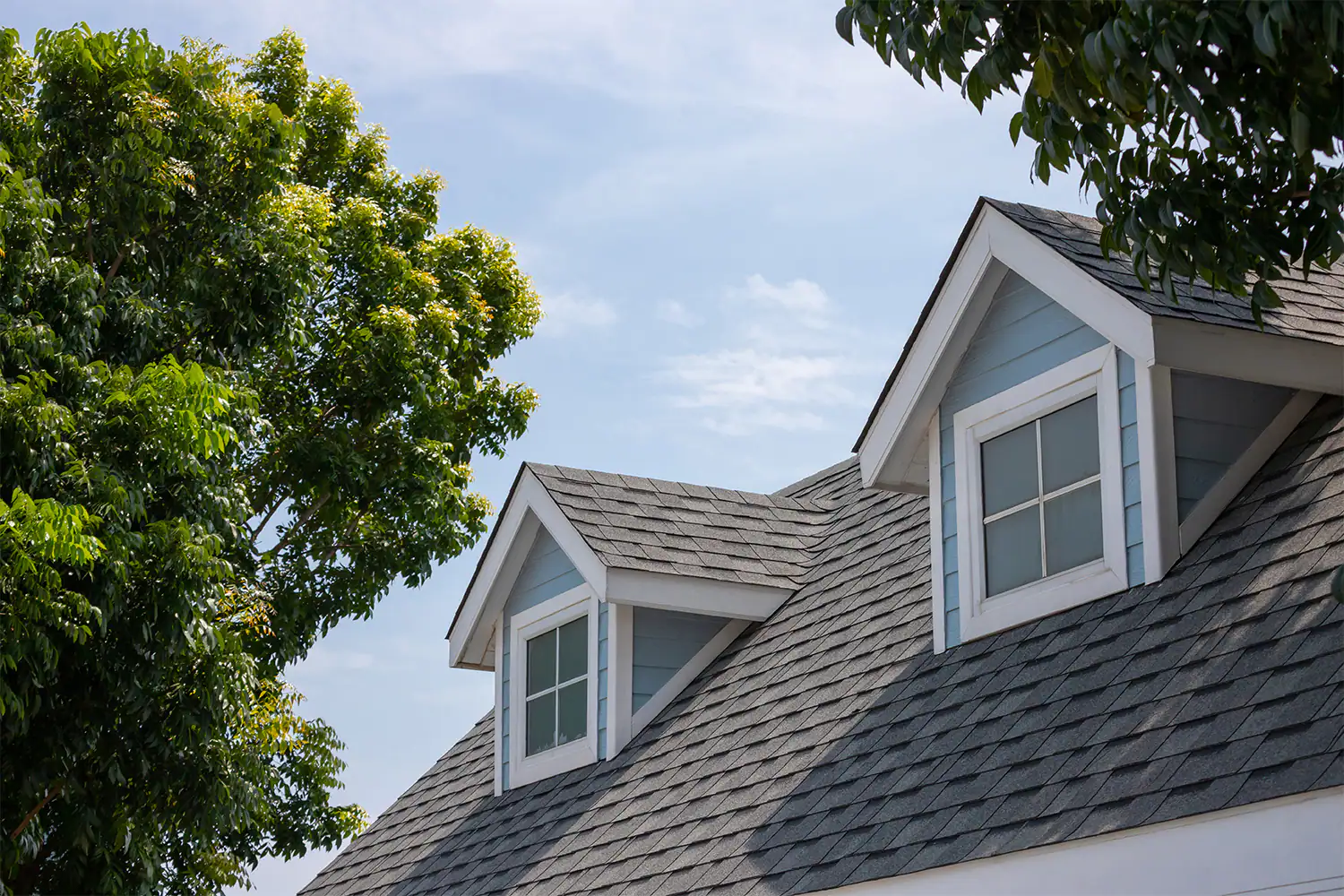 Shingle-roof.webp