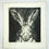 Thumbnail: Hare Print, Rabbit Print, Hare Art, Hare Drypoint, Hare Etching, Hare Gift, Rabbit Gift