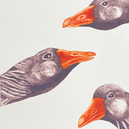 Original Limited Edition Print of Geese by Printmaker Francis Allwood