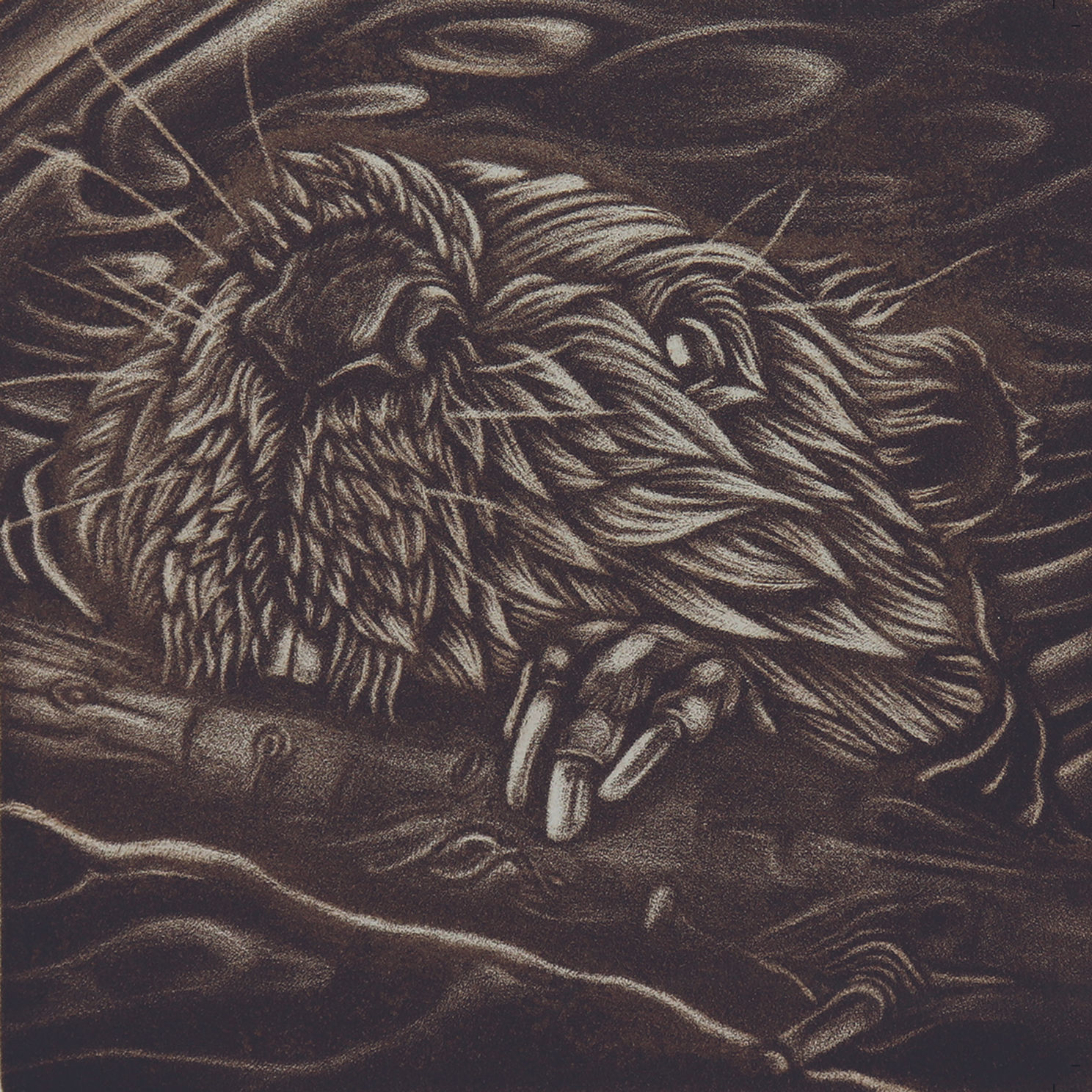 Beaver Card (12x12cm)