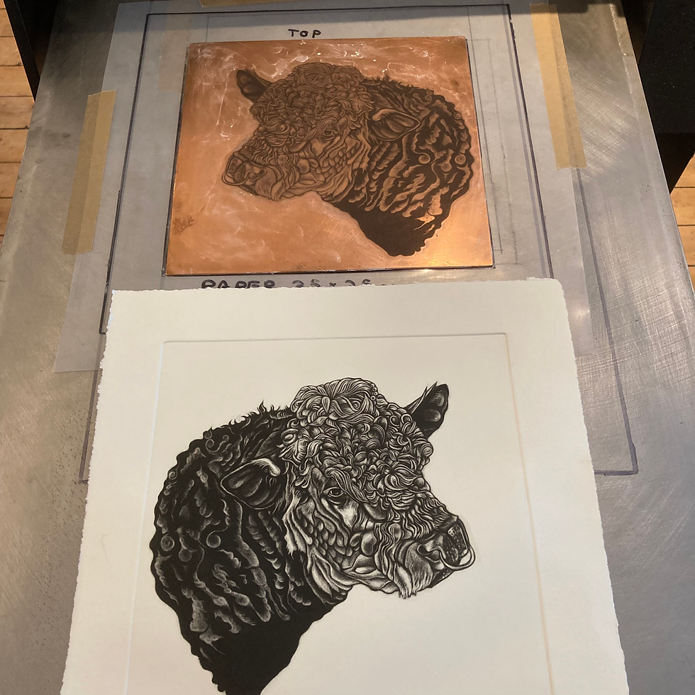Thumbnail: bull mezzotint plate and print