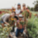 Four smiling women holding bouquets of flowers at a farm.
