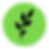 GV-sq.png