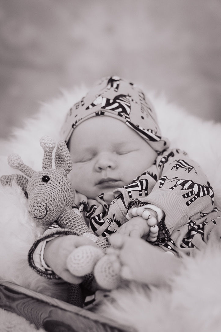 Miniaturbild: Newbornshooting 