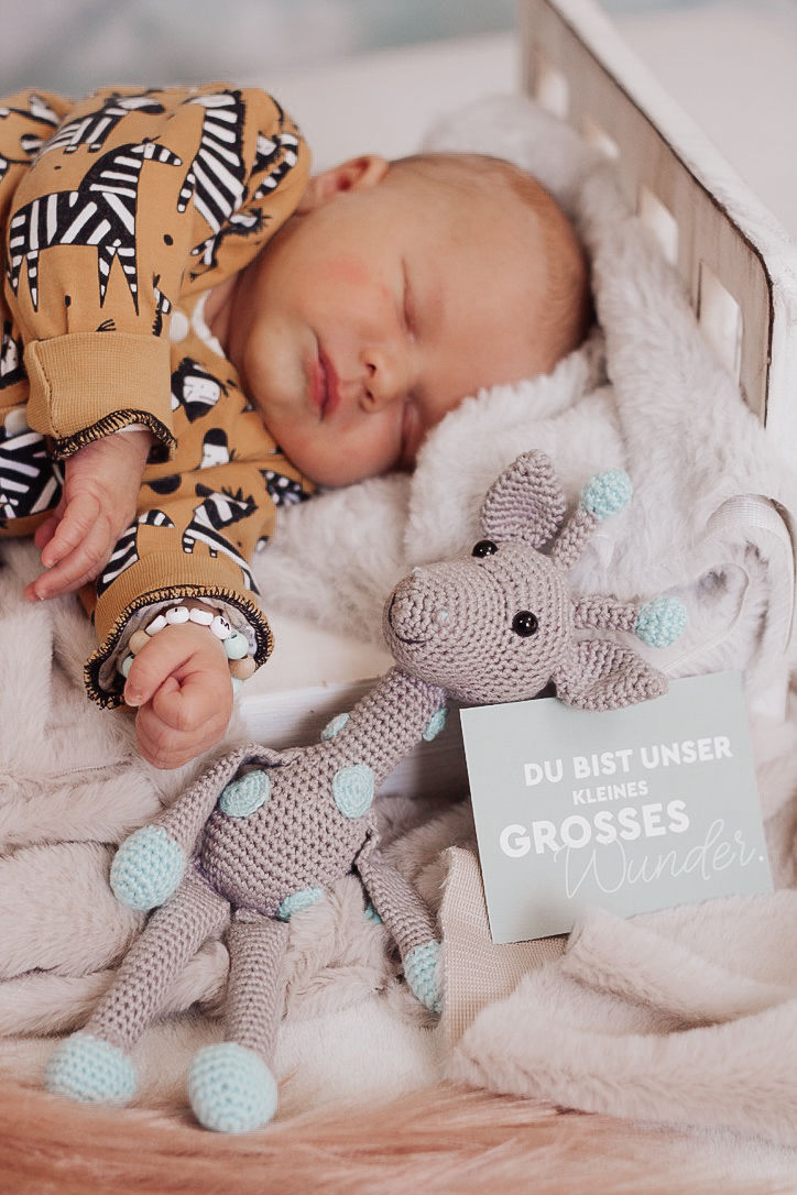 Miniaturbild: Newbornshooting 