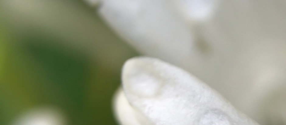 Comprensione, comunicazione e condivisione: la vera natura delle Emozioni