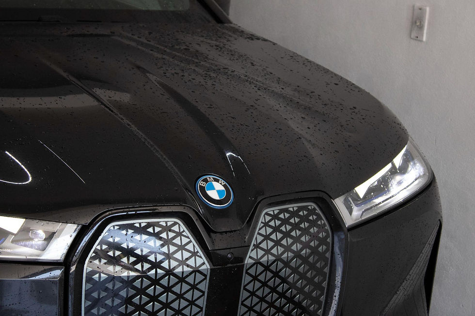 Miniatura: BMW IX 2023