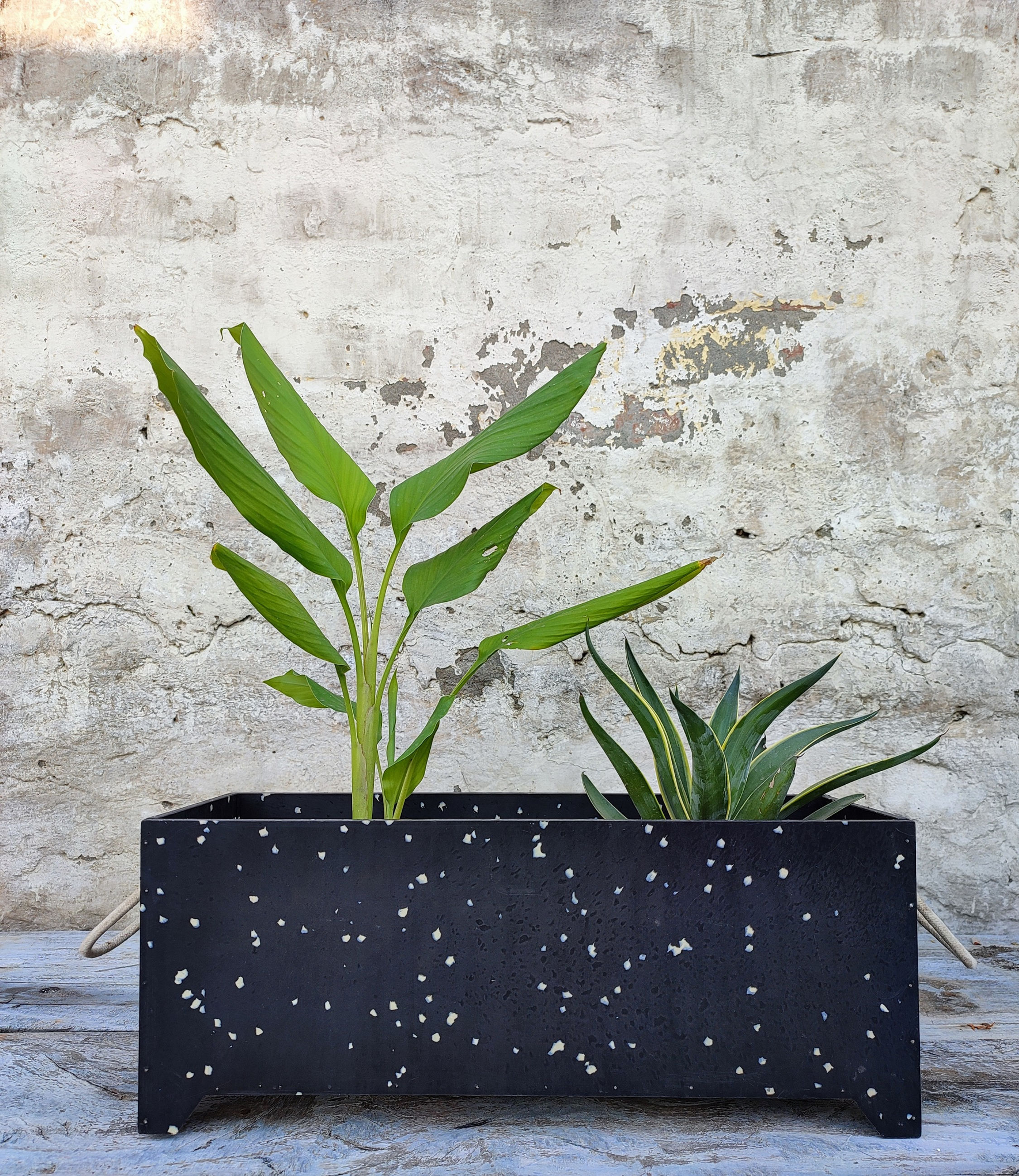 Econscious™ Eco-planter | Ceramic Black