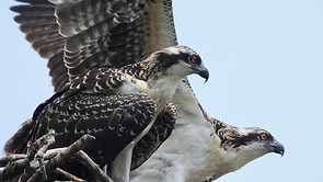 dscn5626.jpg