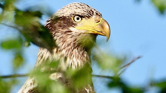dscn8436.jpg