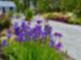 IMG_9309_edited.jpg