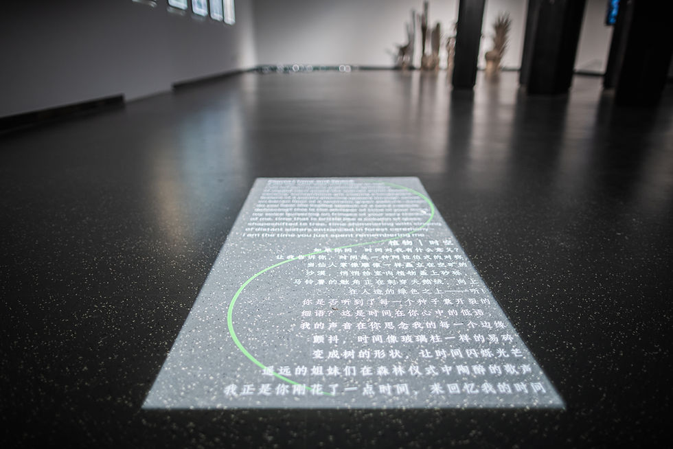 Power of Plants Exhibition, Shanghai