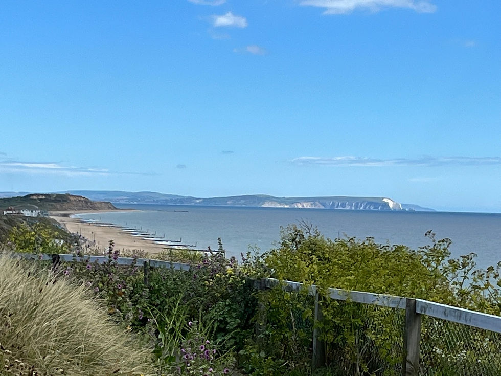 Coastal view with sandy beach, sea cliffs in the distance under a blue sky. Foreground has green shrubs and a wooden fence. Calm mood.