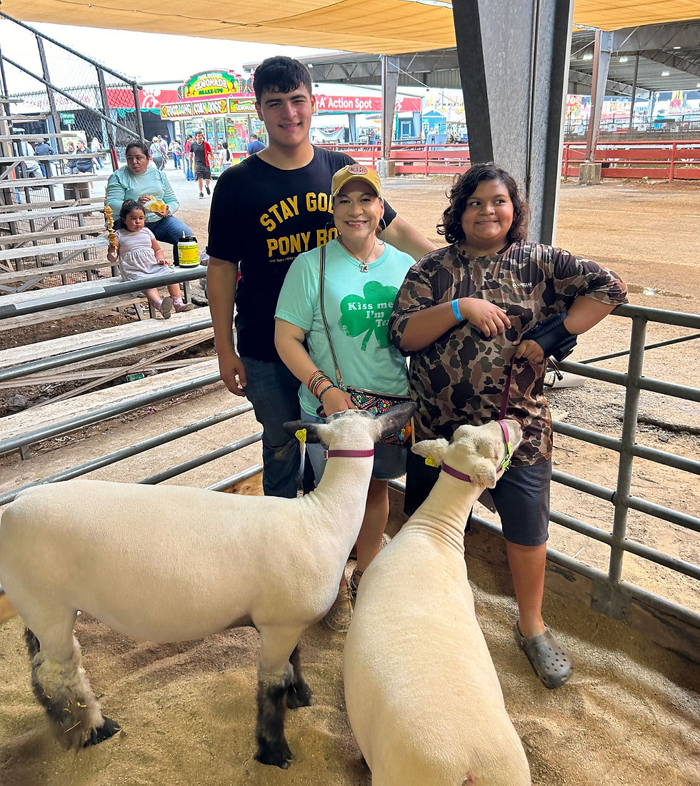 Three people smile beside two sheep in a fairground pen. Signs and stalls visible in the background. Shirts read "STAY GOLD" and "Kiss me."
