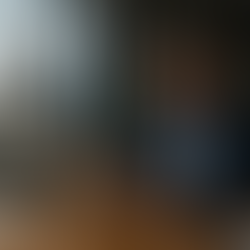 The Future of Organizations: Ready for the Shift?