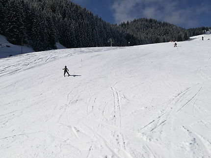IMG_20180219_123509.jpg