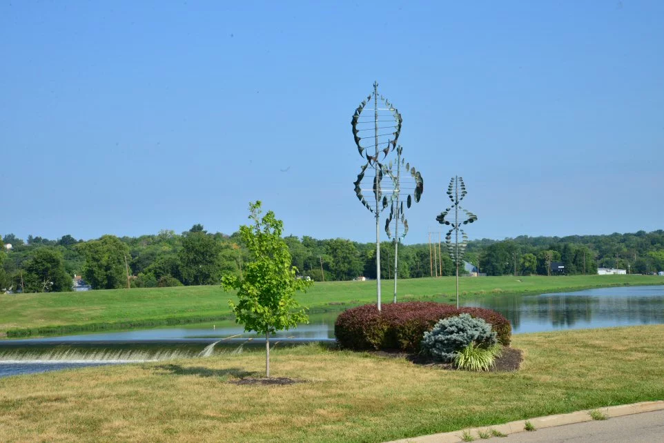 Wind Forest