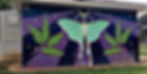 Luna Moth