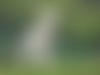 КУРБАН-БАЙРАМ