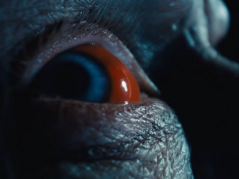 Tráiler final de La Noche del Demonio 6