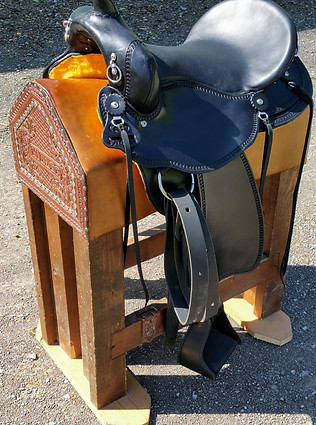 Eli Miller Trail Saddle