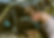 3I9A6012-Bearbeitet-Bearbeitet4.jpg