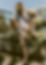 3I9A5841-Bearbeitet4.jpg