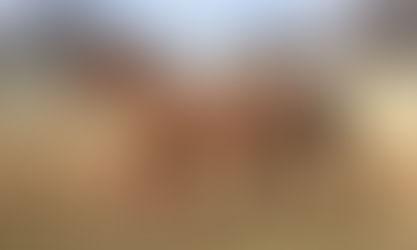 What Makes A Horse Mean?