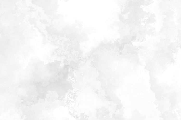 shutterstock_1527528290.jpeg