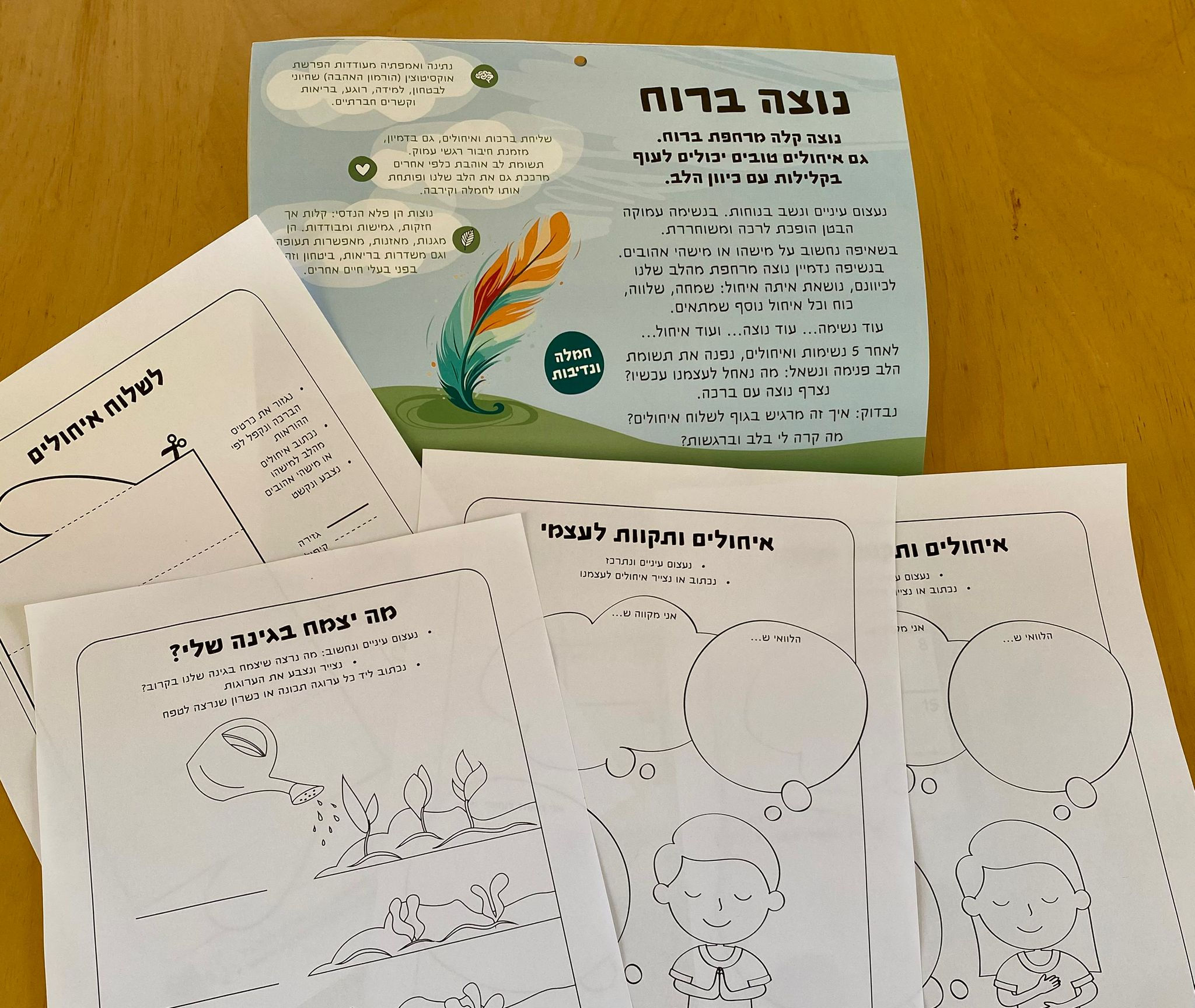 דפי פעילות - חמלה ונדיבות