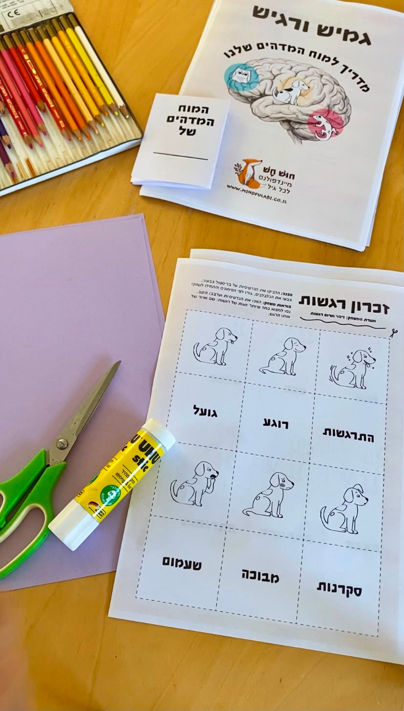 תמונה ממוזערת: גמיש ורגיש - מדריך למוח