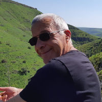 עו"ד שי פורת