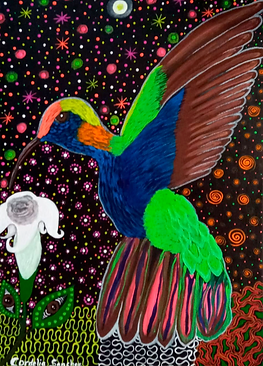Colibrí.png
