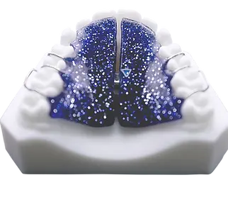 CO9A8974.webp