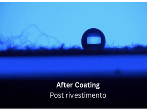 Charting New Waters: A Seaweed-Based Solution for a Changing Textile Industry