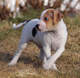 1-1-Bror-20190302 (1).jpg