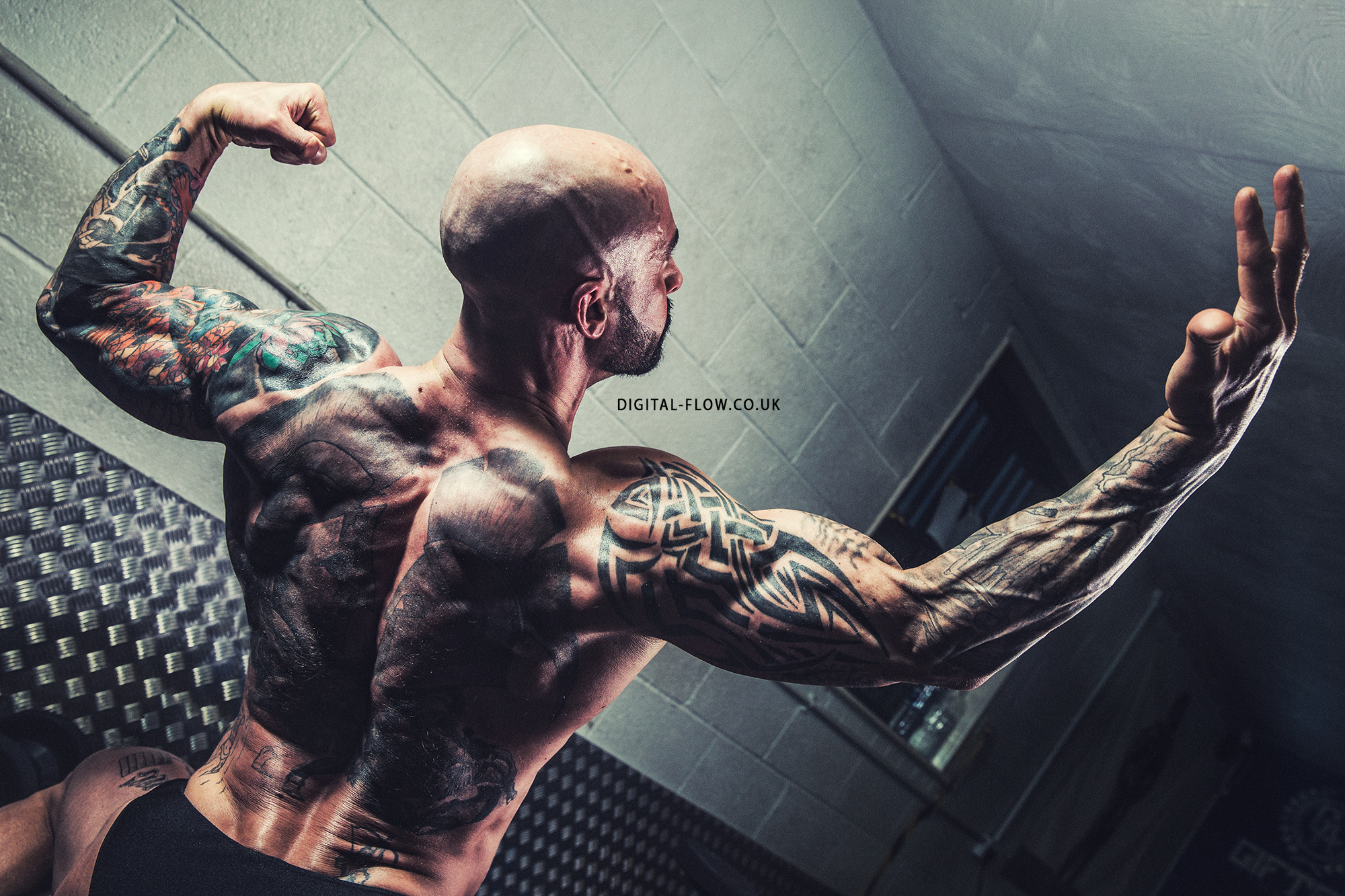 Todd Fitness
