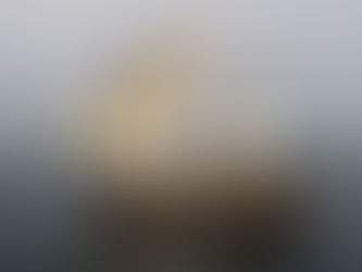 PAMOJA ODYSSEY - East Africa Coast