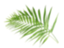 AdobeStock_61929442.jpeg