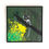 Thumbnail: Monkey from Vale dos Orixás Brazil