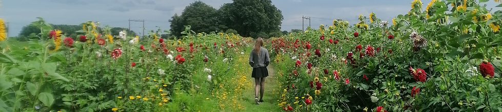 bloemenfoto.png