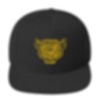 Thumbnail: Wool Blend Snapback Gold Logo