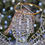Thumbnail: 6 ft. Iridescent Twist LED Iridescent Angel Holiday Yard Decoration