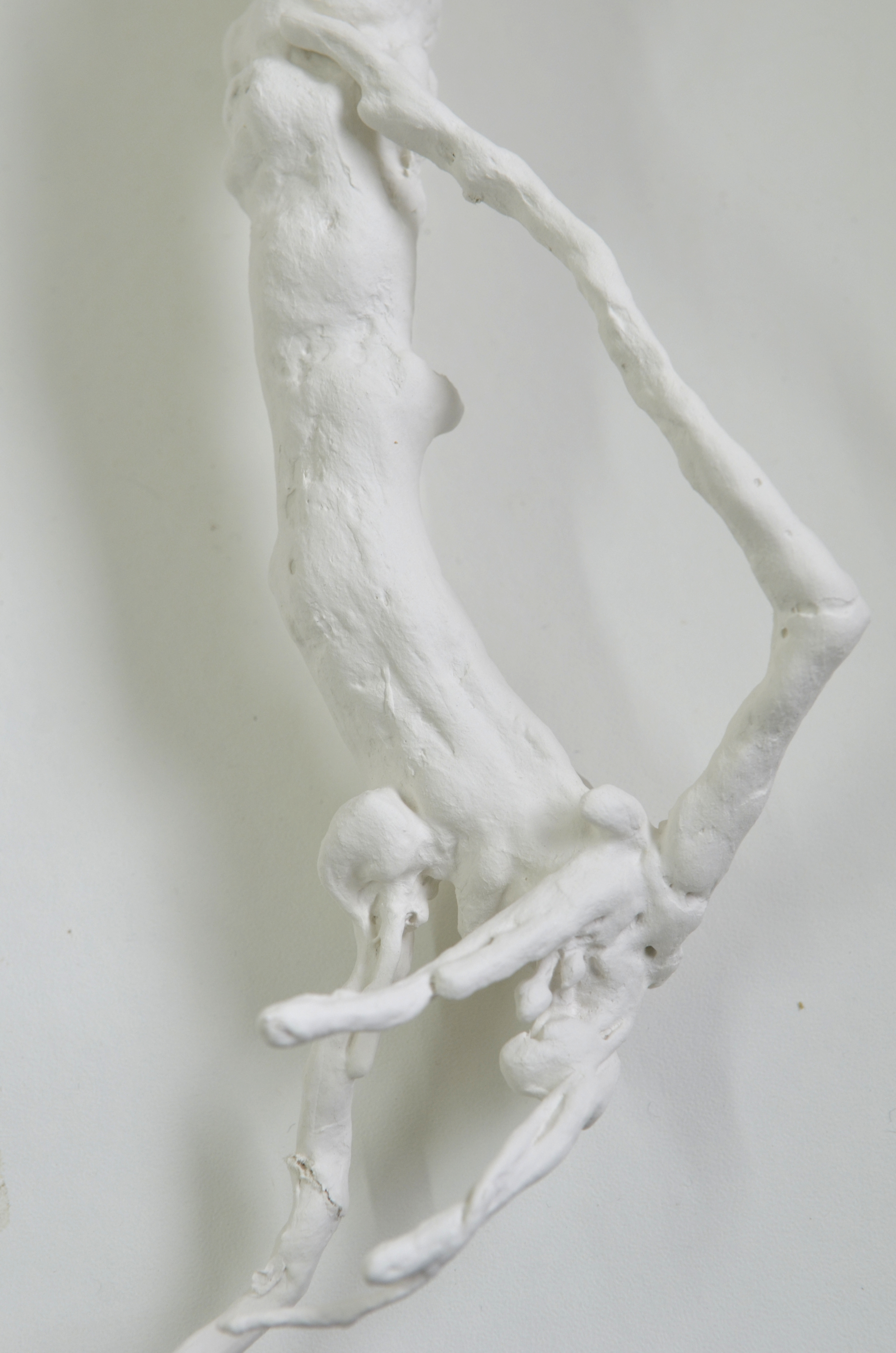 porcelaine-papier sur écorce