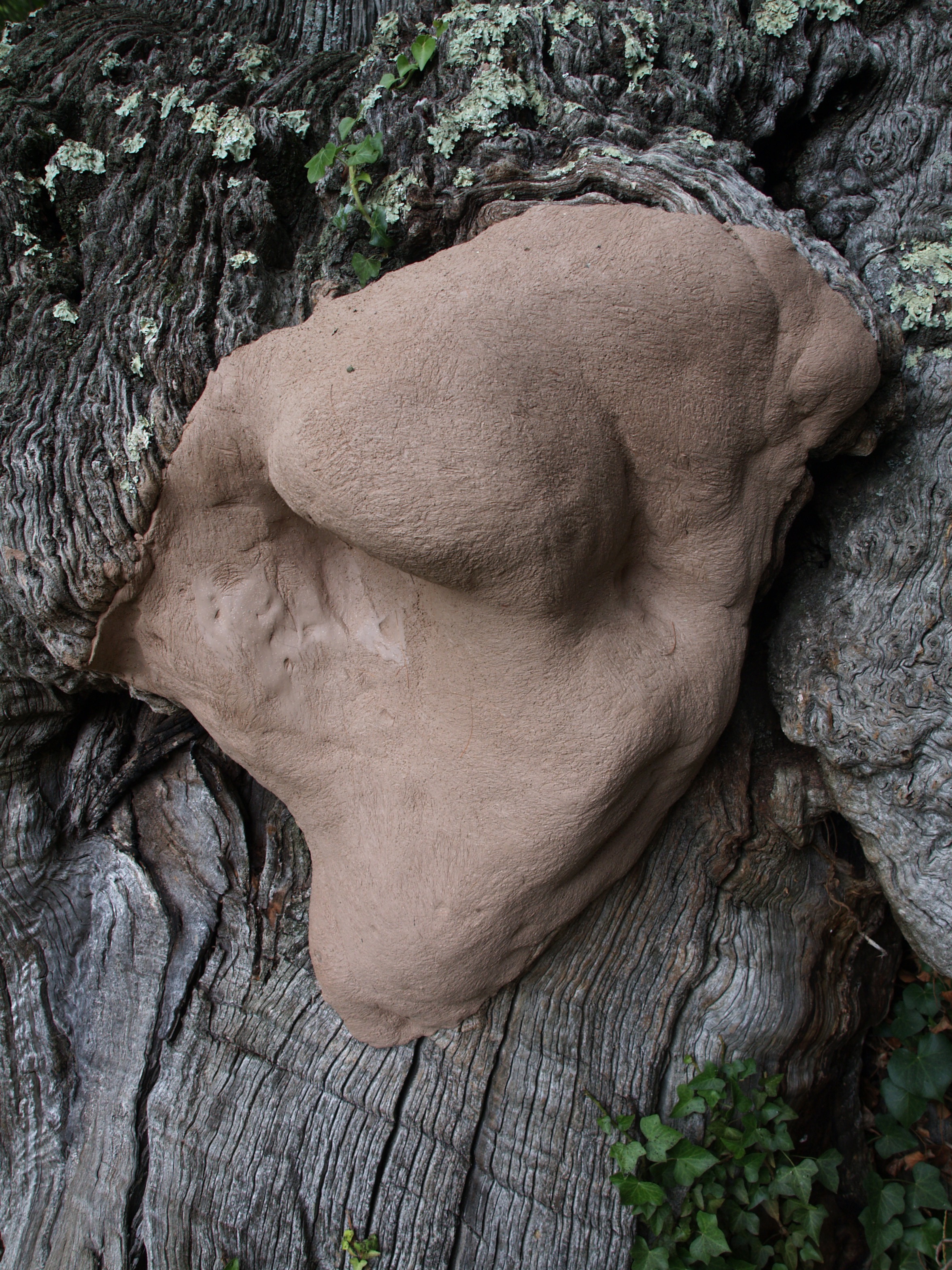 Moulage terre-papier.