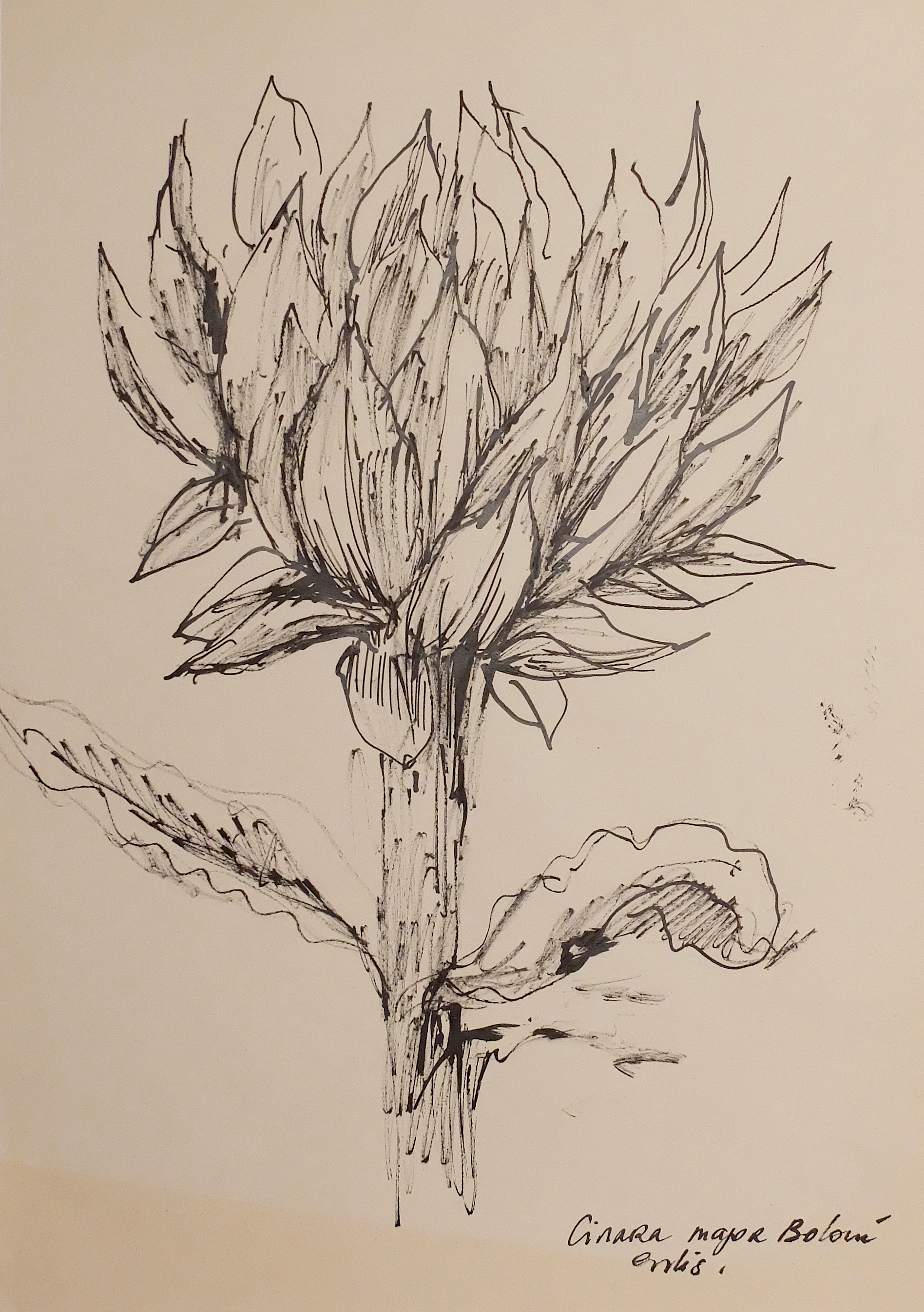 Encre au calame sur papier. 30 x 42 cm