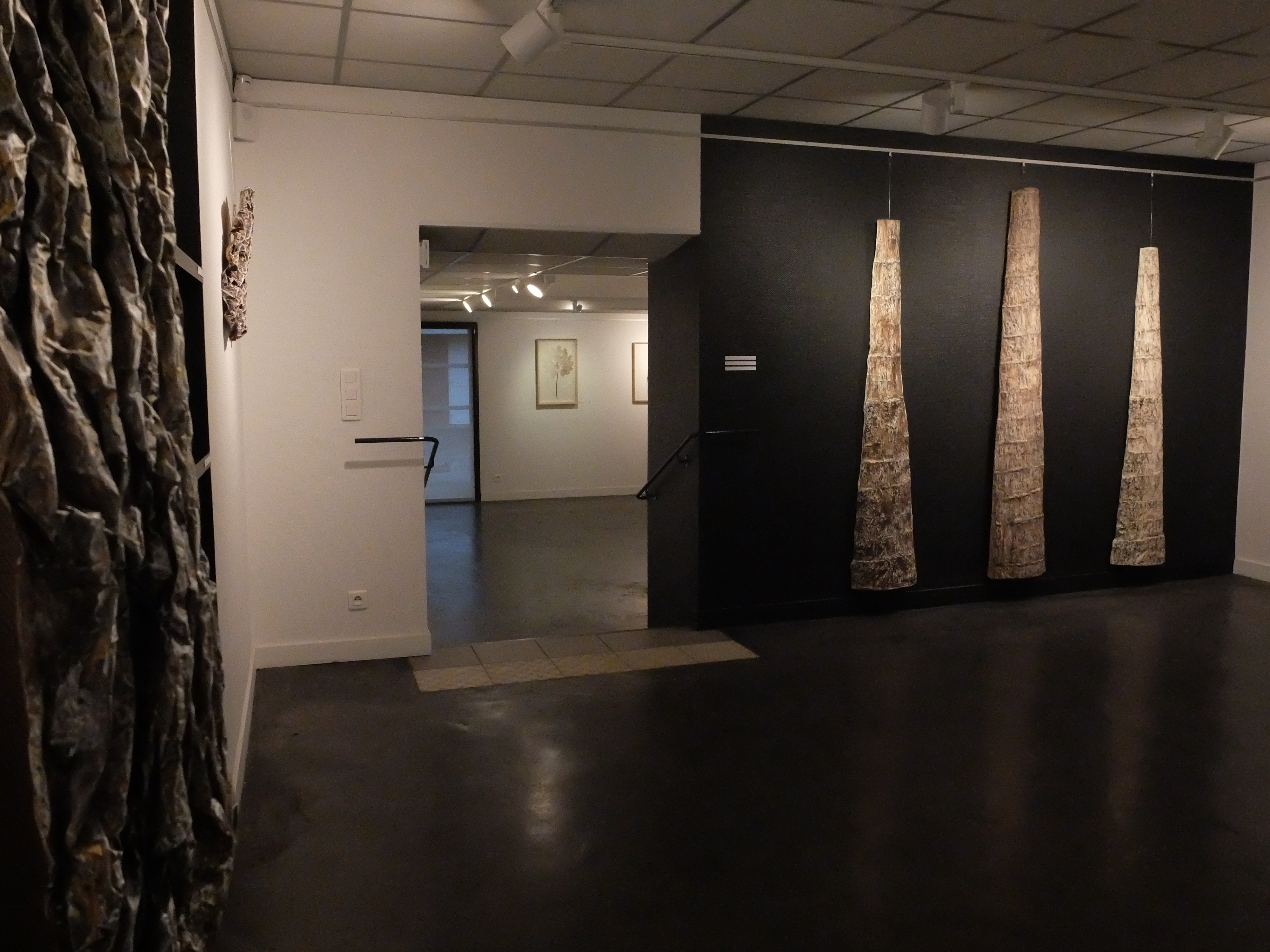 Exposition "De L'Arbre au papier"